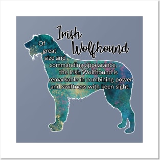 Irish Wolfhound Posters and Art